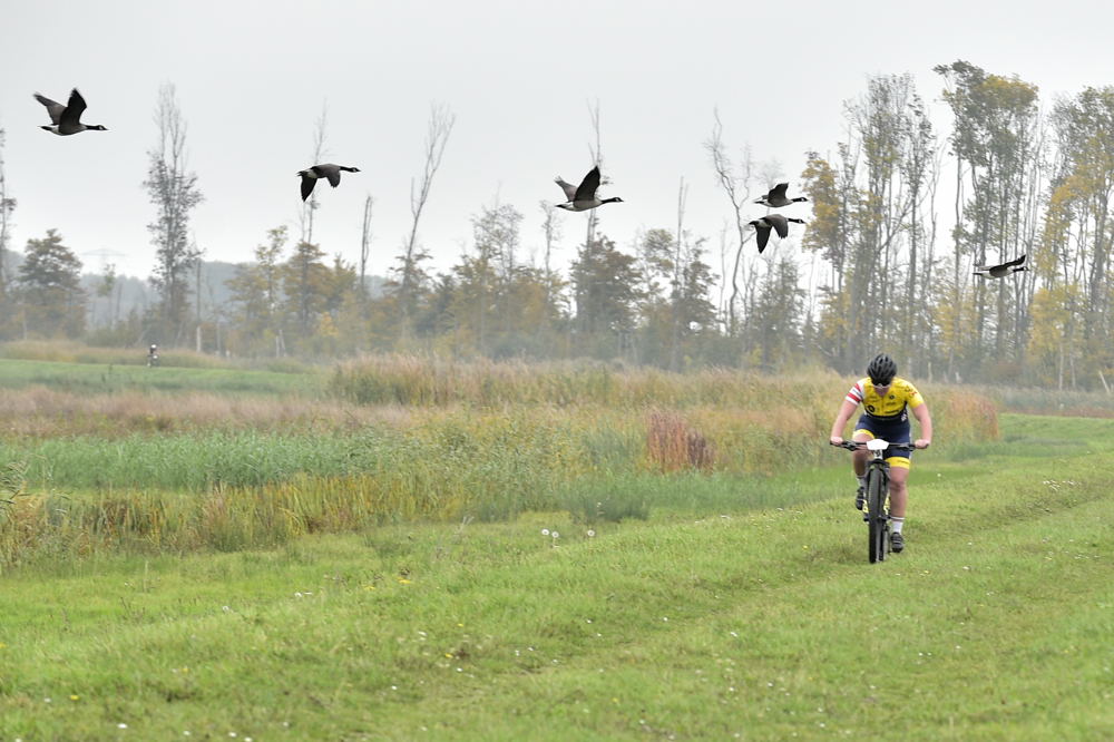 Tijdrit Biesbosch 11-10-2025